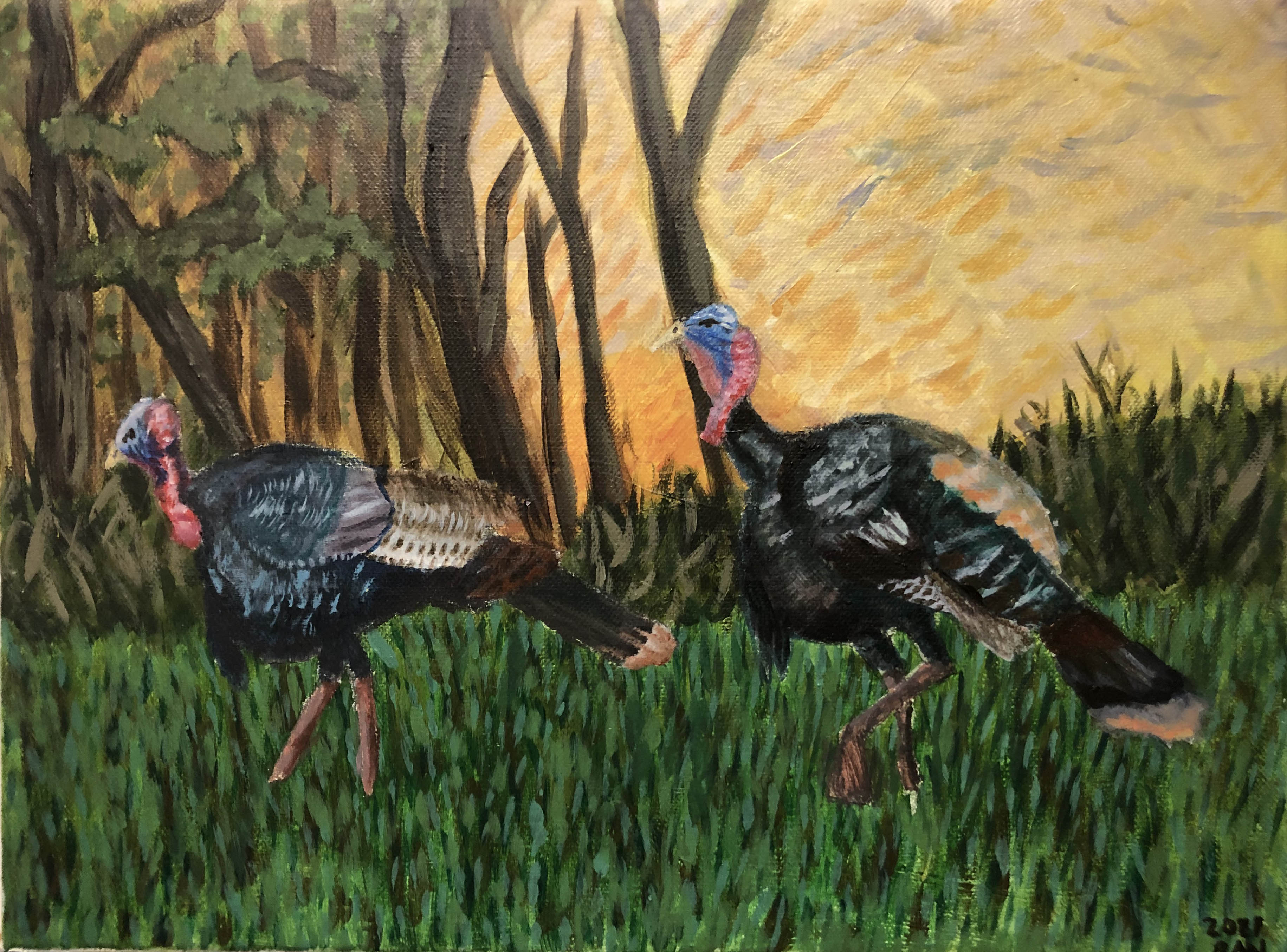 Wild Turkeys